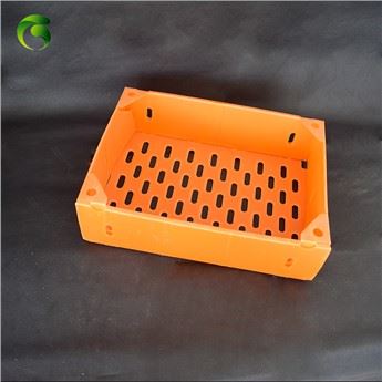 Plastik-Thunfisch-Verpackungsbox