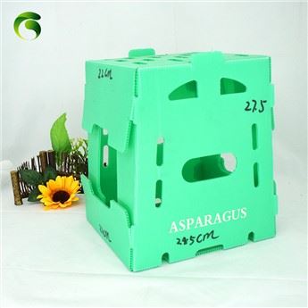 Fabrik-OEM-Wellplastik-Spargel-Verpackungsbox