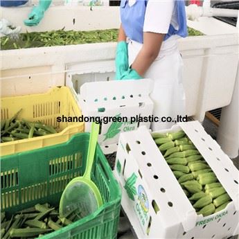 Okra Box A4 Größe Nuc Spargel/Okra Box Wellplastik Corriboard Danpla Verpackungsbox